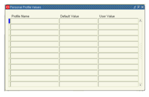 User Profile Values 11i screen shot