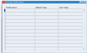 User Profile Values R12 Screen Shot